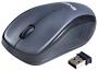 Мышь беспроводная SVEN RX-320 USB черный Мышь беспроводная SVEN RX-320 USB черный